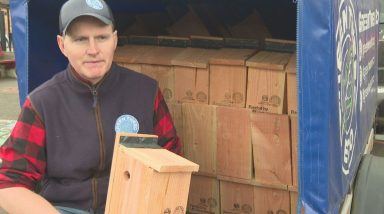 More than 5,500 bird boxes made by primary teacher delivered to Scottish schools