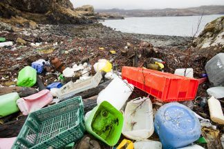 Government needs to stop litter ending up in Scotland’s seas, watchdog says