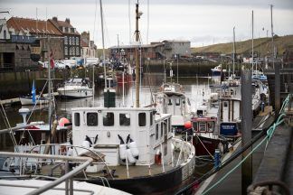 Scottish Government ‘floundering’ on fisheries plans, says marine charity Open Seas