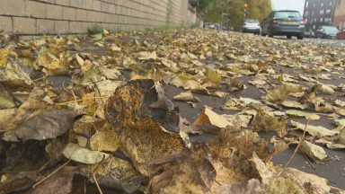 Glasgow residents asked to clean up fallen leaves to support council teams