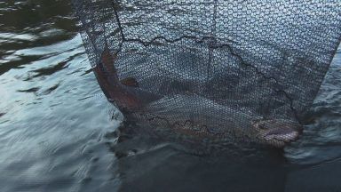 Salmon catches from River Tay branded best in a decade after summer surge of fish for anglers