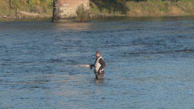 Best salmon catch numbers in a decade on the River Tay