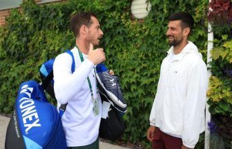 Andy Murray to coach Novak Djokovic for Australian Open 2025