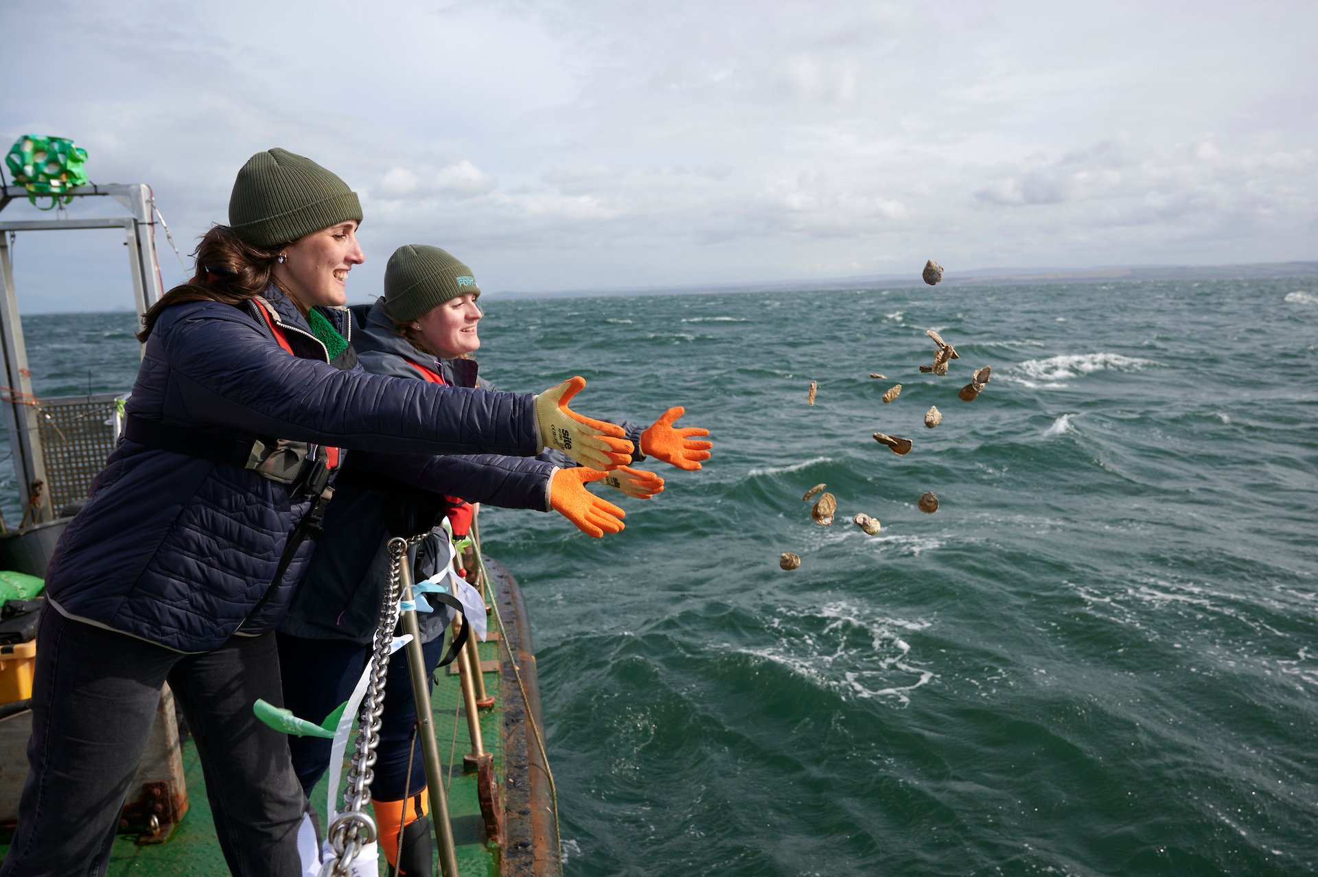 Around 30,000 oysters have been released in the area since September 2023 (Maverick photo agency/PA)For more information please contact Mandy Carter at WWF Scotland on 0131 659 9100.