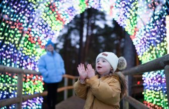 Winter light show with woodland and treetop trail coming to Cairngorms National Park