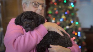 Scottish charity pairs elderly people with rescue pets to fight loneliness one wag at a time