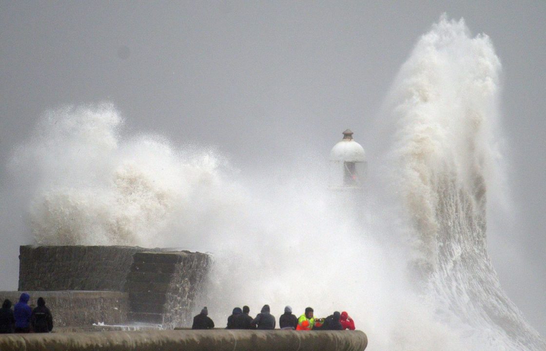 Man dies after tree falls on van as Storm Darragh lashes UK