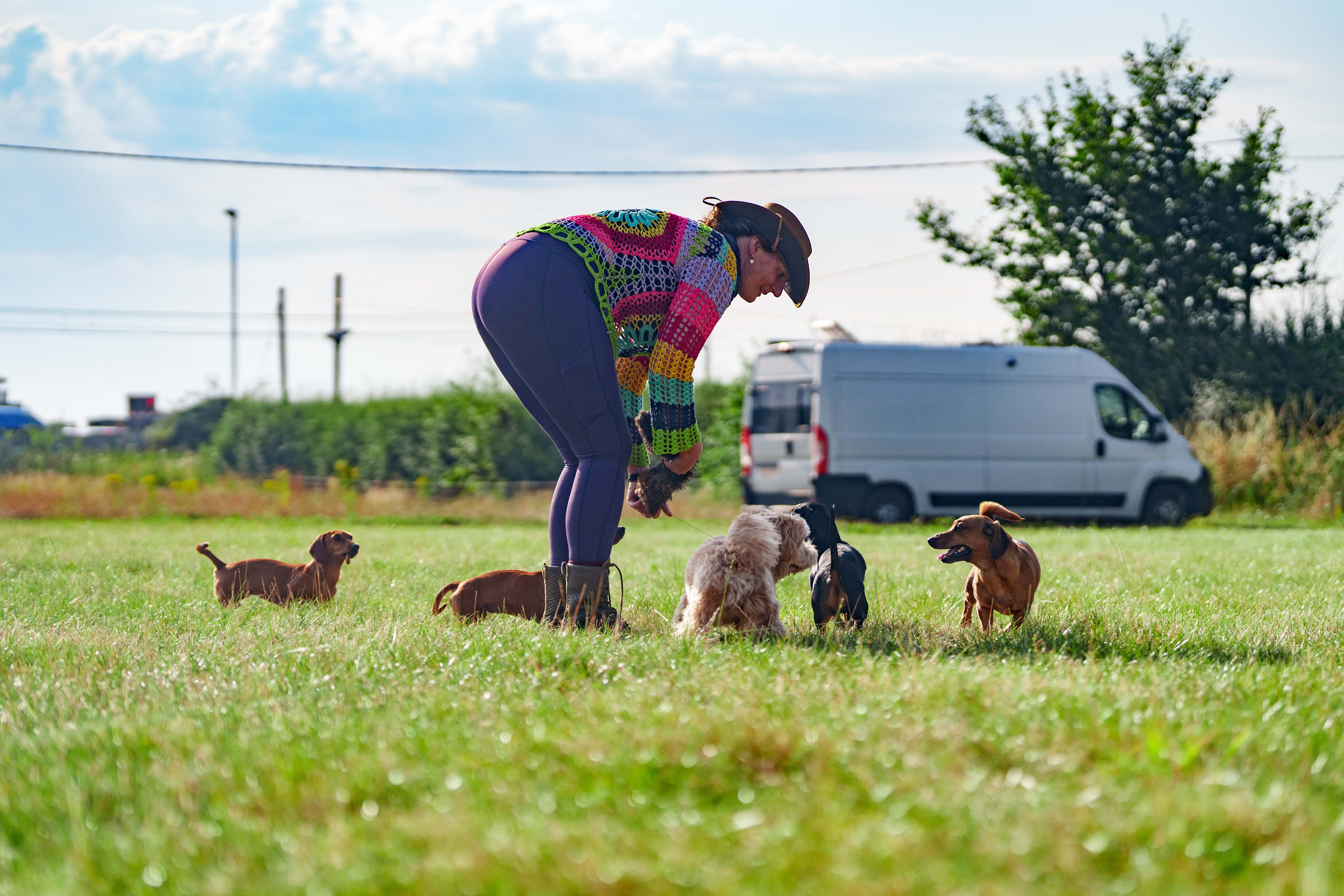 Jessie Montague and Jess Probst, who run Honest Hounds in Dundee, have launched an emegrency tool kit aimed to keep dogs with families following a rise in attacks.