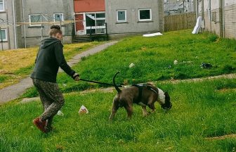 Woman killed by American Bulldog in Aberdeen was charged over previous dog attack