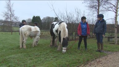 New programme using ‘horse power’ to support young people