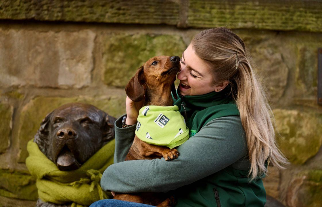 Edinburgh Dog and Cat Home receives 1,635 pet ‘surrender’ requests amid soaring demand