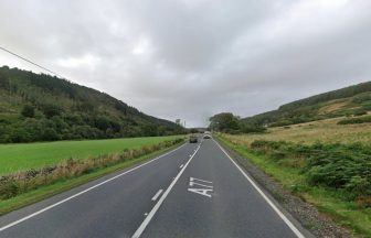 A77 closed in both directions due to fallen tree as drivers urged to avoid area in South Ayrshire