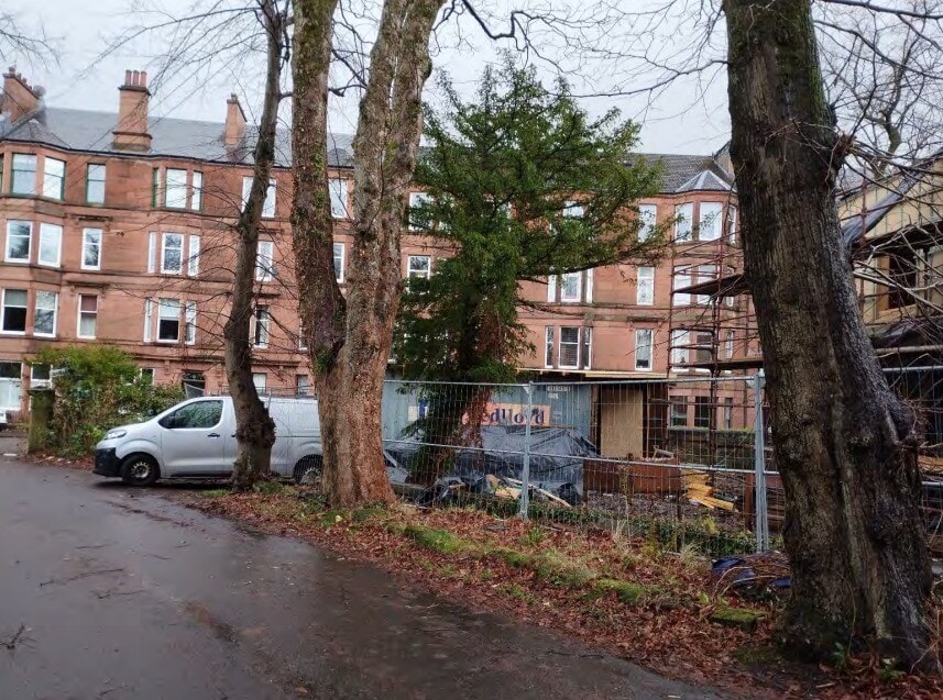 Council gives go-ahead for garage despite trees being chopped down without permission