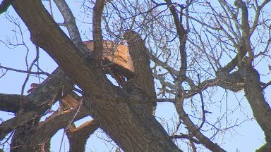 Public appeal to help National Trust sites recover from storm damage