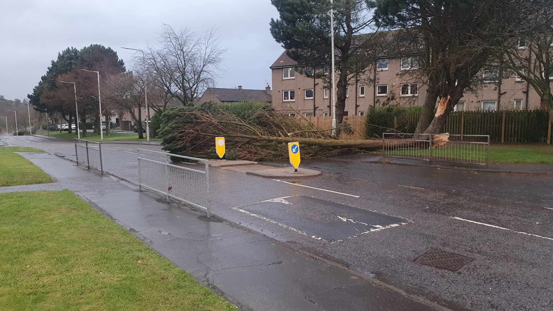 The Hill of Beath in Cowdenbeath has been blocked by a fallen tree.