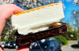 End of the nougat? Last manufacturer of iconic ice cream delicacy ceases production