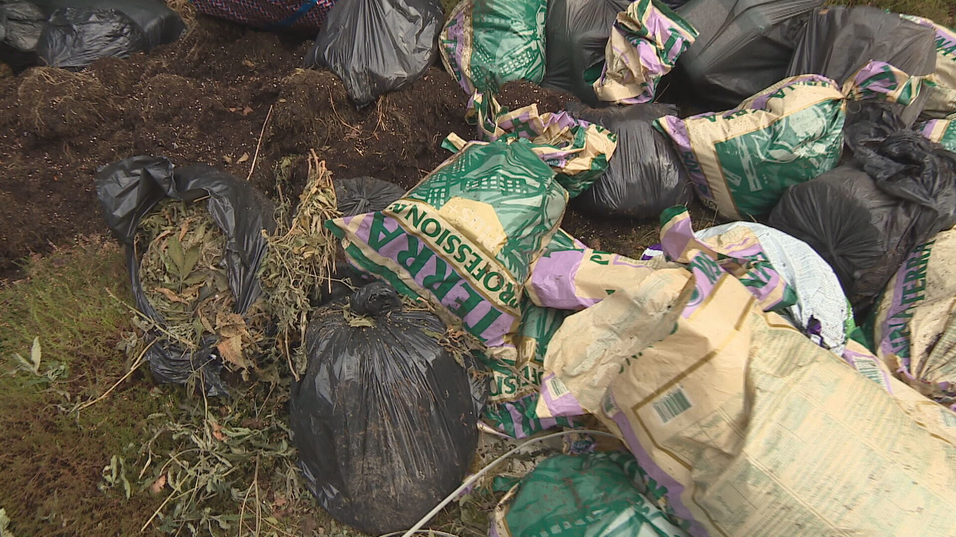 Bags of cannabis plants and chemical items are repeatedly dumped in Aberdeenshire.