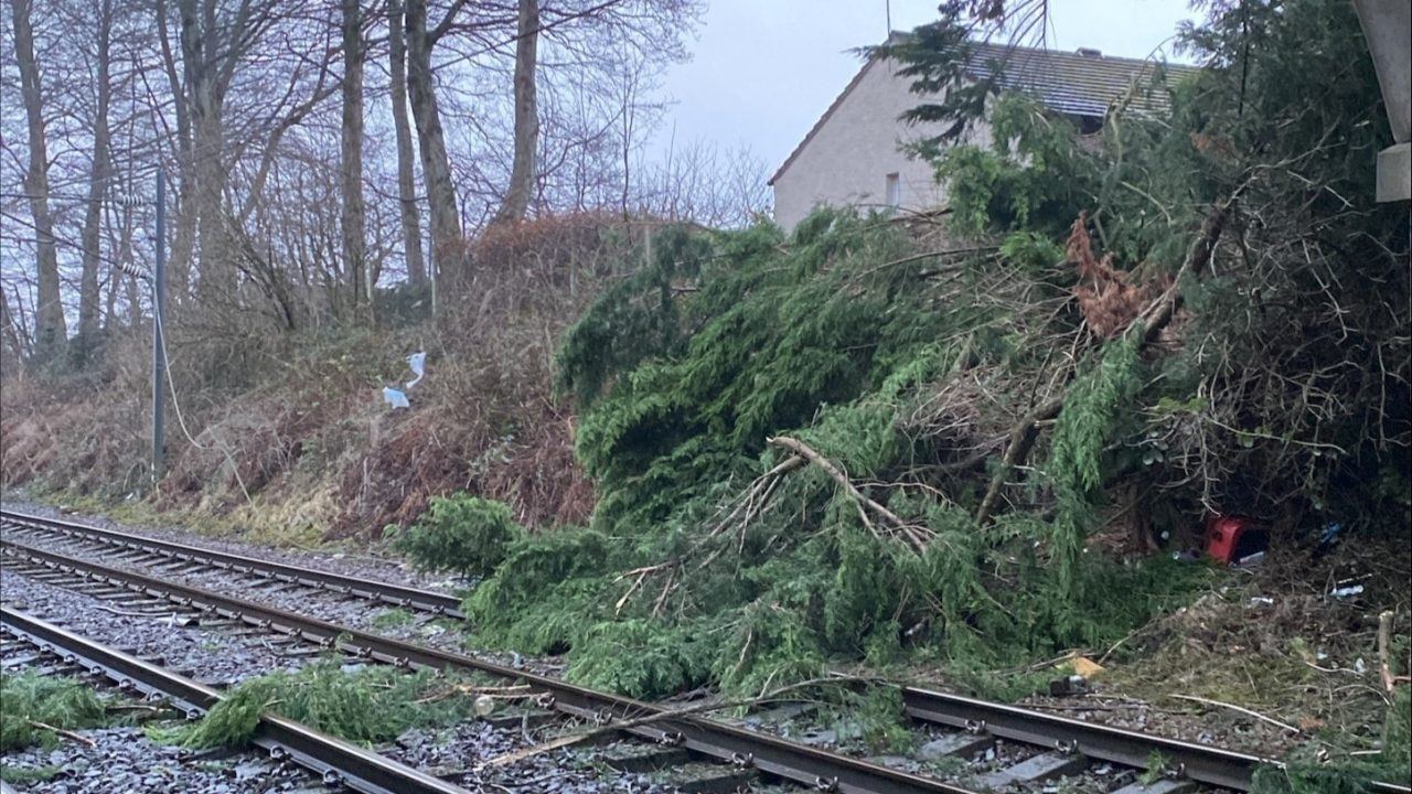 ScotRail services to remain suspended after Storm Eowyn causes ‘extensive damage’