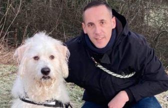 Man who beat dog with golf club so severely it had to be put down handed jail sentence