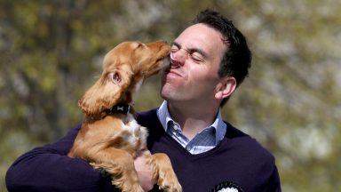 Tory MSP launches new Bill to ensure dog thieves are ‘dealt with severely’