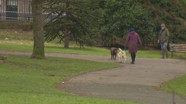 Dog dies after swallowing pipe cleaner left in Dundee park by school pupils