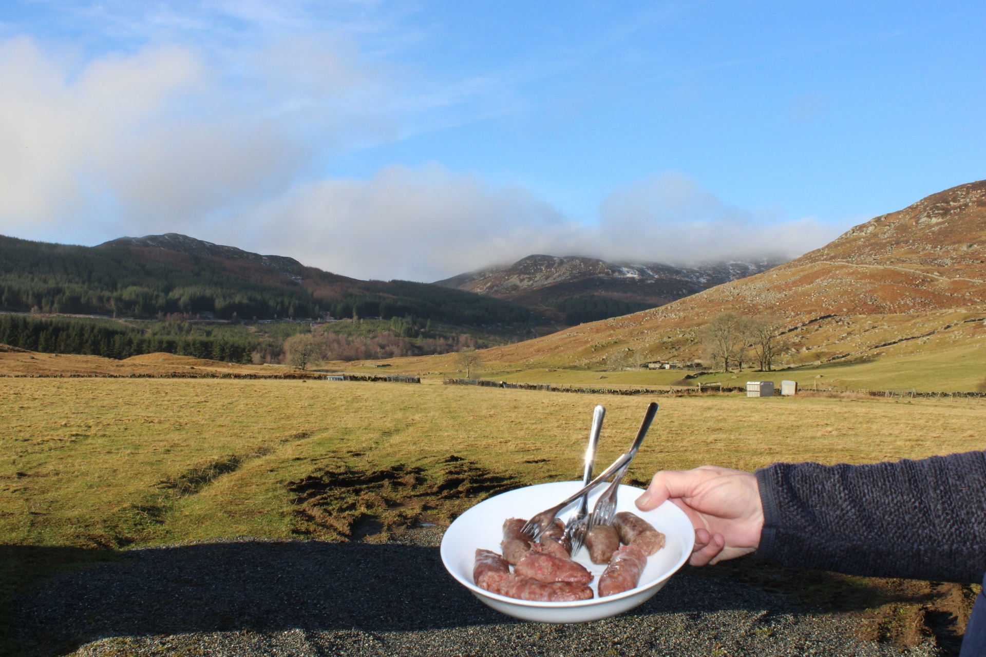 Wild venison sausages from Fair Feast at Knockbarry Farm.