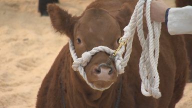 Farmers gather for first agricultural show of the season