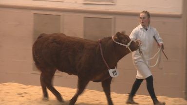 Optimism and uncertainty at Royal Northern Spring Show at Thainstone Mart in Inverurie as farmers navigate tough times