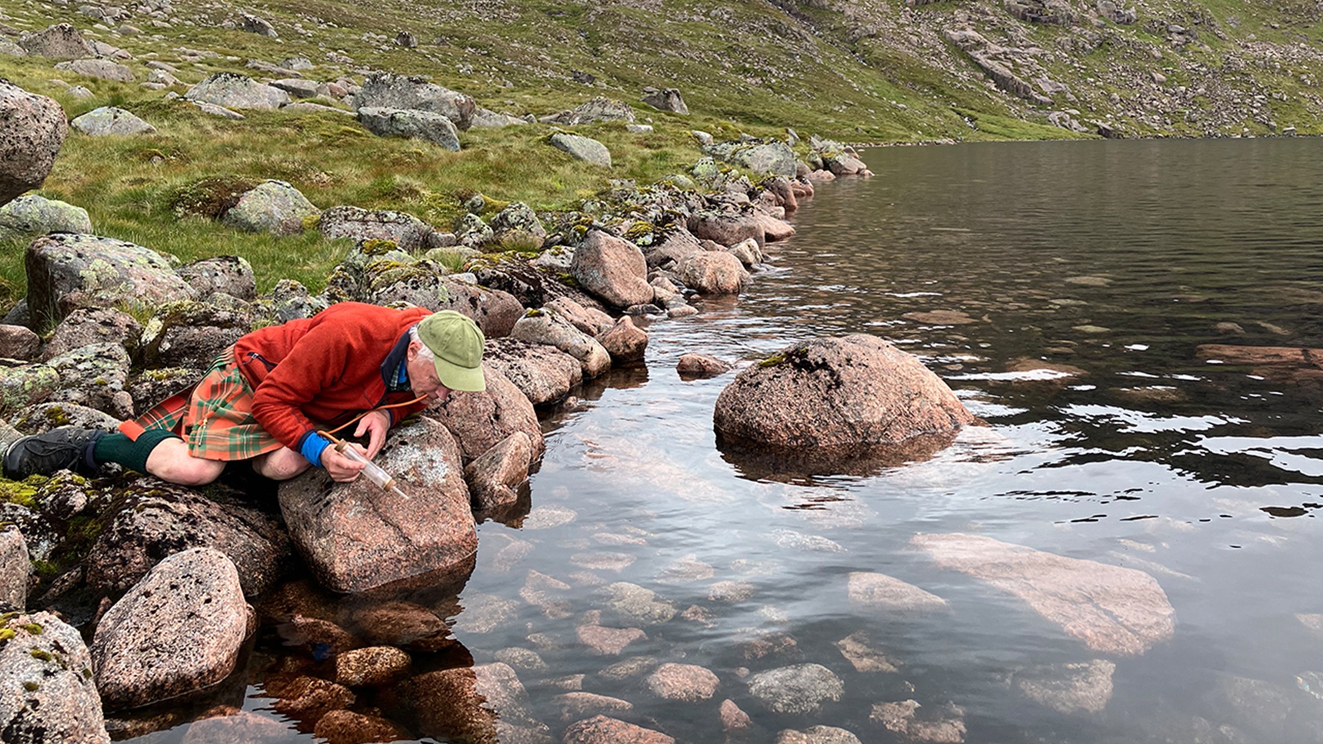 A search for the species was undertaken by entomologist Iain MacGowan and National Trust staff in July 2024.