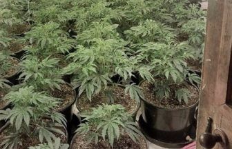 Investigation launched after cannabis cultivation worth £125,000 found at Skye property