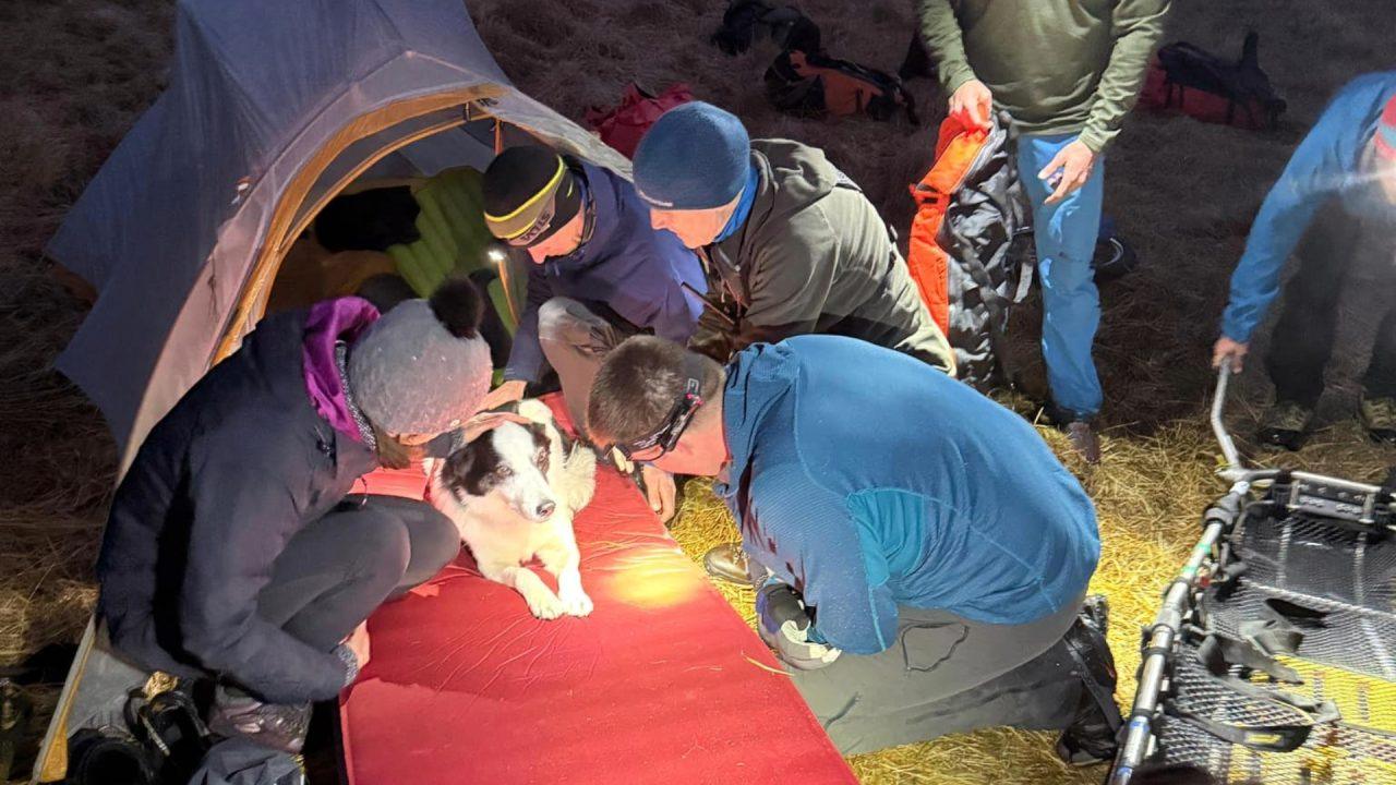 Injured dog rescued by Lochaber Mountain Rescue Team after ‘significant’ fall at Glen Dessary