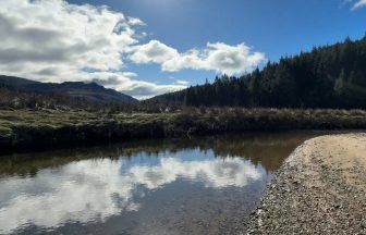 River Goil ‘viable’ for the first time in quarter of a century after clean-up