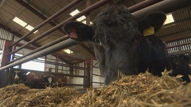 Unique mental health service FarmTalk helping agricultural workers