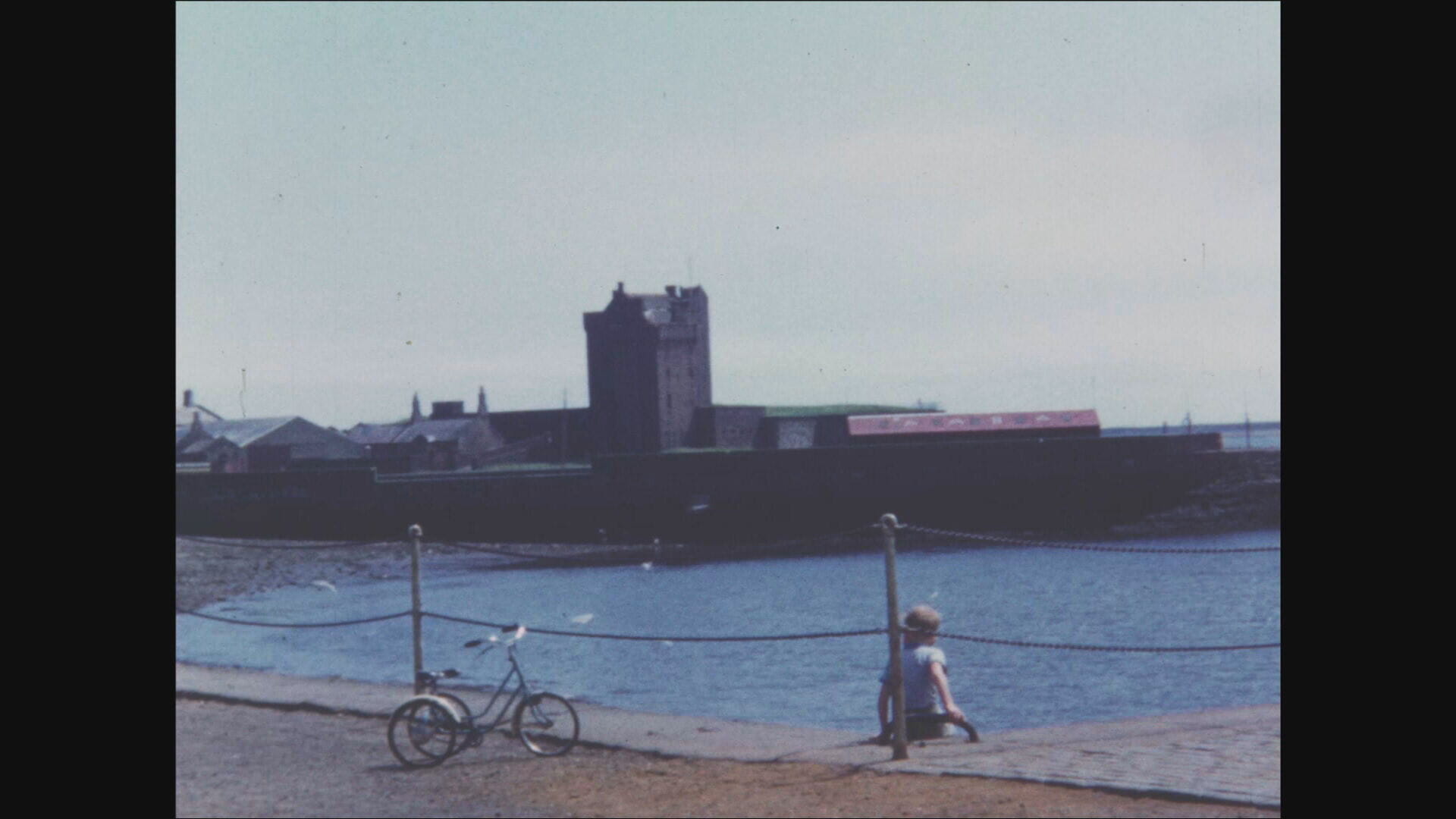 Robin looks out from the pier