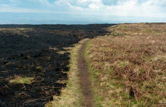 Images capture destruction caused by Kilpatrick Hills wildfire during ‘extreme’ alert