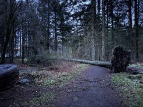 Beecraigs Country Park reopens to the public for first time since Storm Eowyn