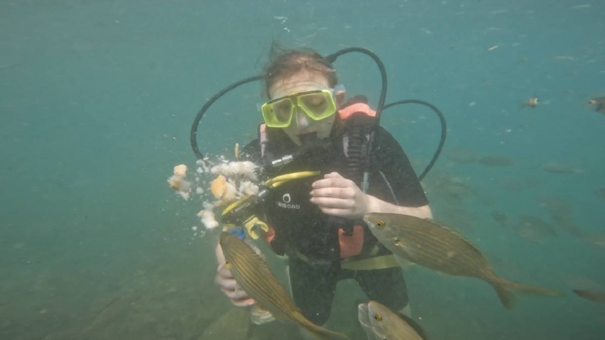 Joscelyne scuba diving