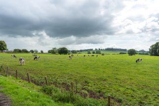 Applicants sought to take over running of long-established Acrehead dairy farm in Dumfries and Galloway