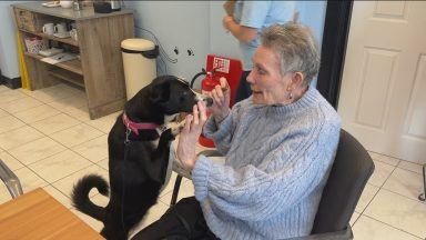 Charity helping to tackle loneliness through dogs opens new hub