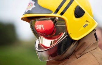 Firefighters at forest wildfire for three days