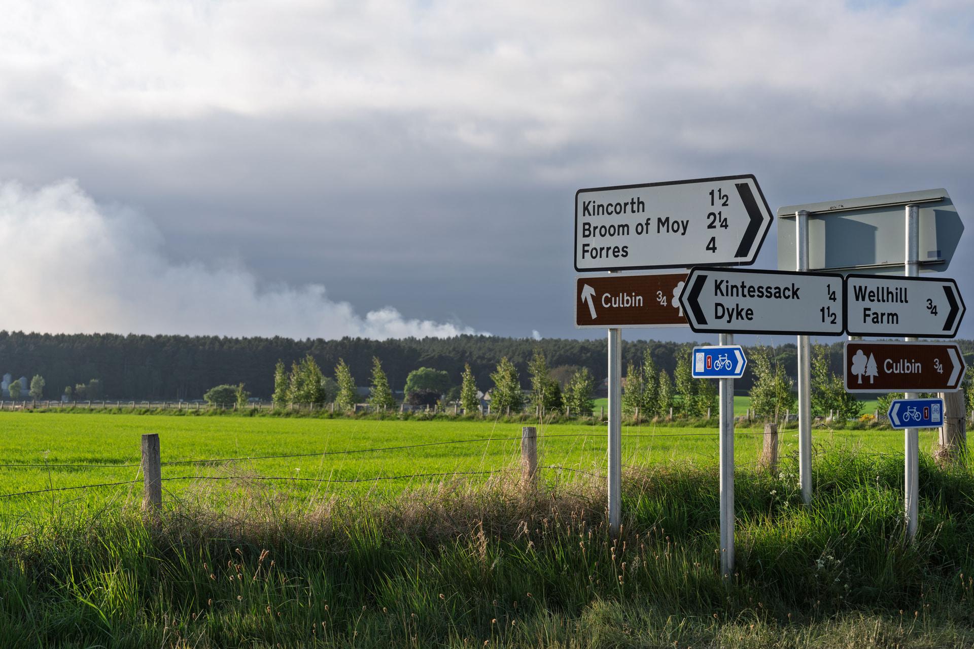 Emergency services were called to the blaze in the Culbin Forest area.