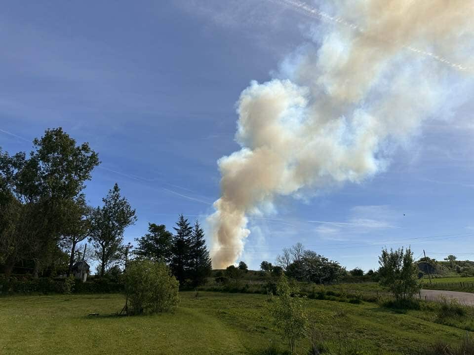Grass fire in Cumnock