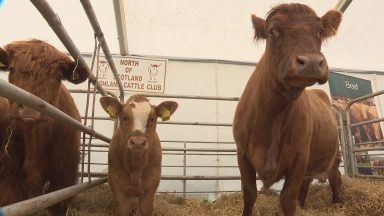 Over 1,000 farmers attend BeefTech 25 conference