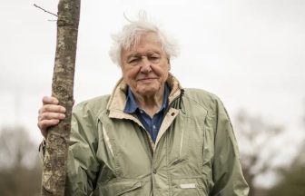 Sir David Attenborough praised at Holyrood for ‘influence’ on his 99th birthday