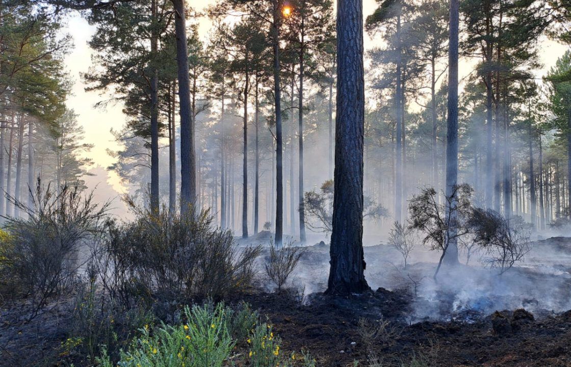 Firefighters remain at forest wildfire for fourth day