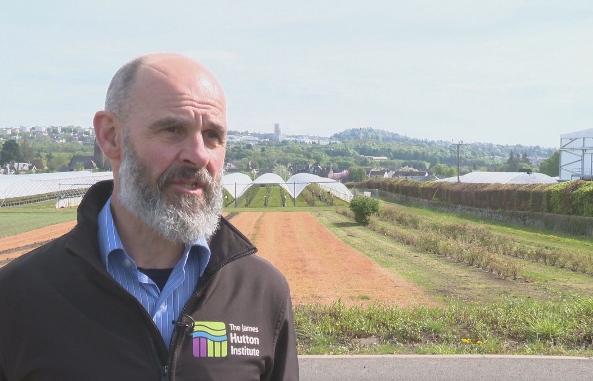  Ian Toth is the director of Scotland’s Plant Health Centre and the National Potato innovation Centre. 