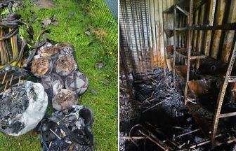 Thorn Athletic ‘devastated’ as equipment worth £20,000 destroyed in deliberate fire