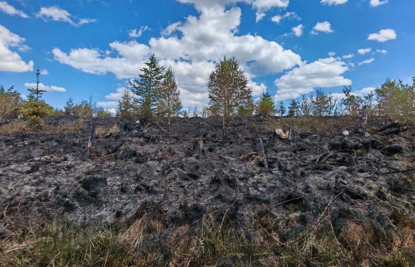 Emergency Services were dispatched to the blaze in a woodland area near Fauldhouse at about 12pm on Saturday.