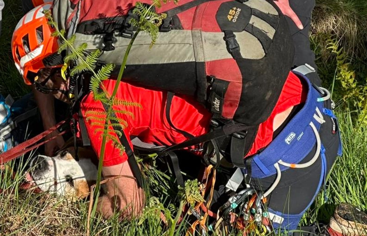 Ochils Mountain Rescue Team set up a technical rope rescue system to raise the 50kg dog.