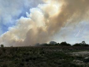 Large wildfire breaks out in East Ayrshire with public urged to avoid area